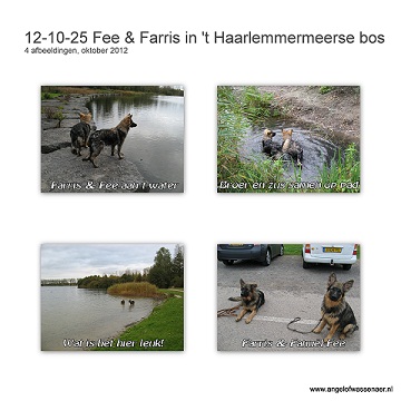 Fanuël-Fee wandelt samen met broer Farris in het Haarlemmermeerse bos